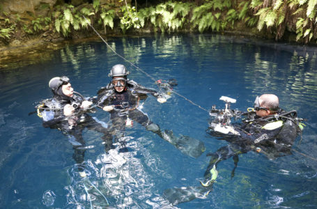 Cenote Maravilla is a hidden treasure in Puerto Morelos